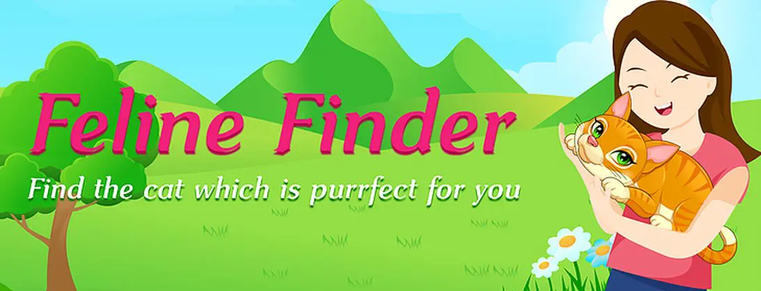 Feline finder Screenshot