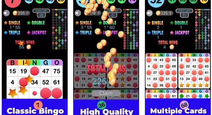 Bingo Play game