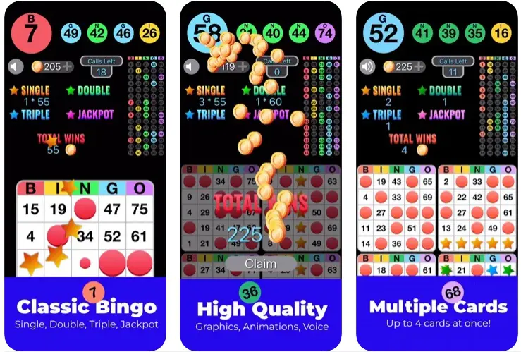 Bingo Play game